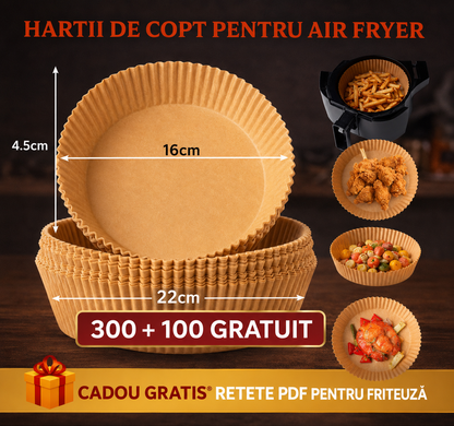 Hartii friteuza  300 + 100 GRATIS + Retete PDF