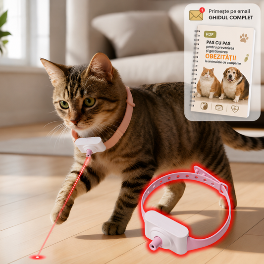 Zgardă cu Laser - JOACĂ ȘI MIȘCARE ZILNICĂ + 🎁 GRATIS PDF – Prevenirea Obezității la Pisici