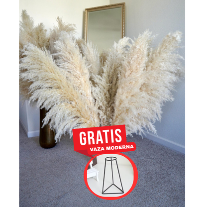 Large Pampas Grass uscat, calitate premium, pentru decoruri (+ O VAZǍ GRATUIT)
