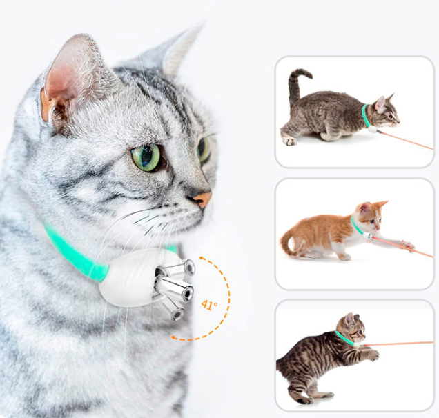Zgardă cu Laser - JOACĂ ȘI MIȘCARE ZILNICĂ + 🎁 GRATIS PDF – Prevenirea Obezității la Pisici