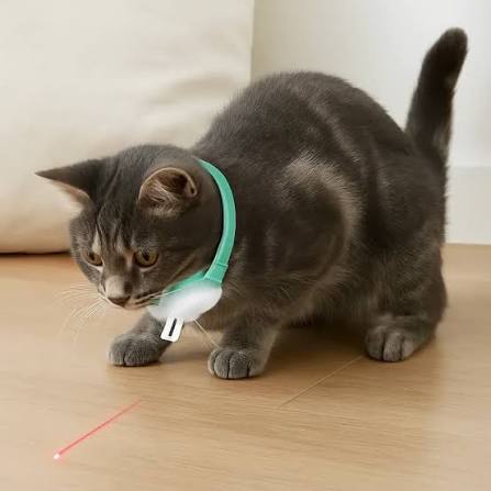 Zgardă cu Laser - JOACĂ ȘI MIȘCARE ZILNICĂ + 🎁 GRATIS PDF – Prevenirea Obezității la Pisici