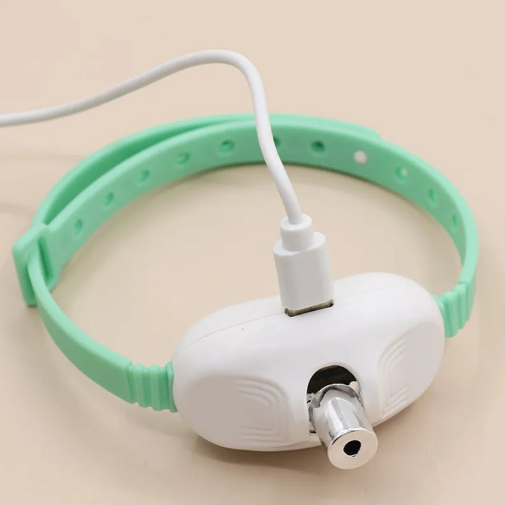 Zgardă cu Laser - JOACĂ ȘI MIȘCARE ZILNICĂ + 🎁 GRATIS PDF – Prevenirea Obezității la Pisici