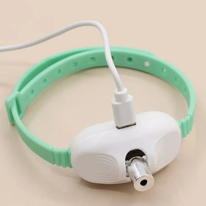 Zgardă cu Laser - JOACĂ ȘI MIȘCARE ZILNICĂ + 🎁 GRATIS PDF – Prevenirea Obezității la Pisici