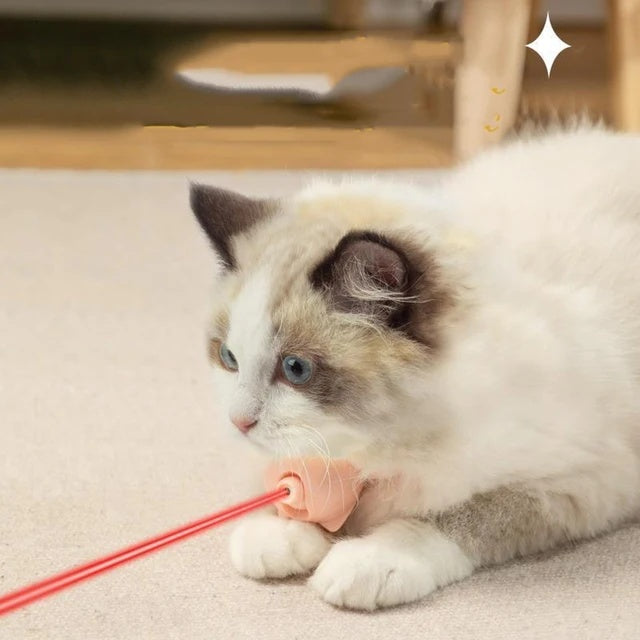 Zgardă cu Laser - JOACĂ ȘI MIȘCARE ZILNICĂ + 🎁 GRATIS PDF – Prevenirea Obezității la Pisici